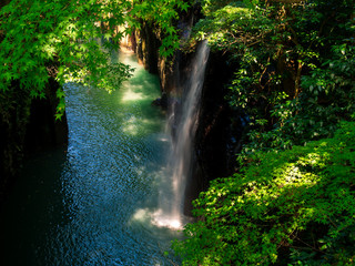 Obraz premium 真名井の滝