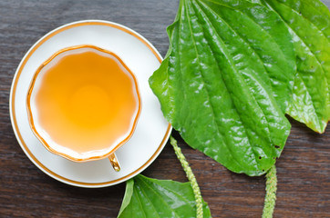 herbal plantain tea in a porcelain Cup on a dark wooden background