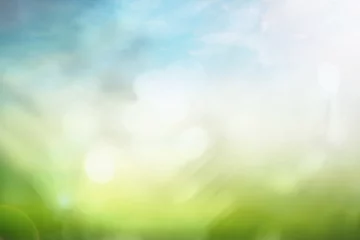 Tafelkleed World environment day concept: Bokeh light and abstract blurred green nature background © Choat