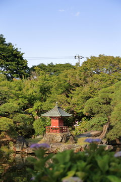 保和苑