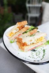 Sandwich on white dish