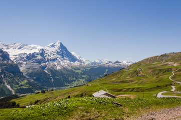 Fototapeta na wymiar Grindelwald, Bergdorf, Berner Oberland, Eiger, Eigernordwand, Kleine Scheidegg, Schreckfeld, Höhenweg, First, Schweizer Berge, Sommer, Schweiz