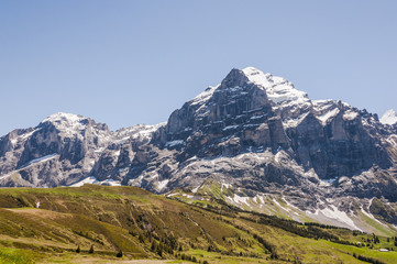 Fototapeta premium Grindelwald, Berner Oberland, Dorf, Wetterhorn, Engelhörner, Grosse Scheidegg, Wanderweg, First, Bergtal, Schweizer Berge, Sommer, Schweiz