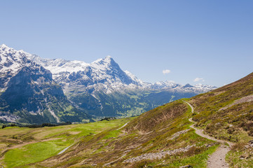 Fototapeta na wymiar Grindelwald, Berner Oberland, Alpen, Eiger, Eigernordwand, Gletscher, Wanderweg, First, Sommer, Schweiz