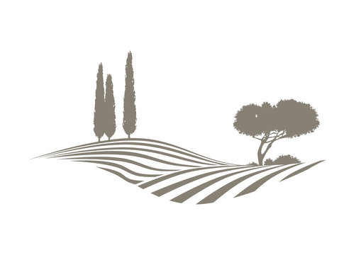 vektor landschaft mit feldern, Zypressen und Kiefer