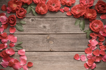 Red roses on wooden background