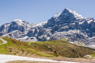 Fototapeta na wymiar Grindelwald, Berner Oberland, Grosse Scheidegg, Wetterhorn, Engelhörner, Alpen, Schweizer Berge, Wanderweg, Wanderferien, Sommer, Schweiz