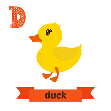 Duck. D letter. Cute children animal alphabet in vector. Funny c