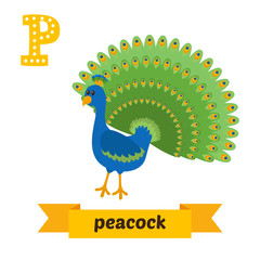 Peacock. P letter. Cute children animal alphabet in vector. Funn