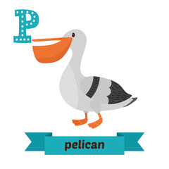 Pelican. P letter. Cute children animal alphabet in vector. Funn