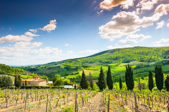 Beautiful Tuscany landscape, Province of Certaldo, Italy
