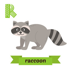 Raccoon. R letter. Cute children animal alphabet in vector. Funn