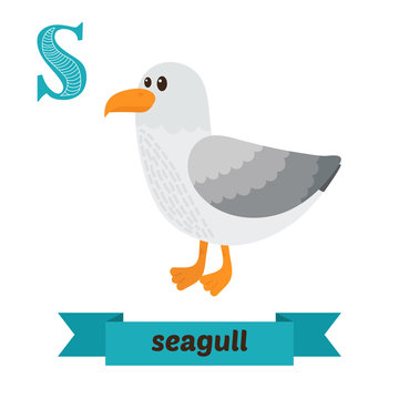 Seagull. S letter. Cute children animal alphabet in vector. Funn