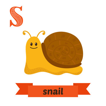 Snail. S letter. Cute children animal alphabet in vector. Funny