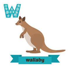 Wallaby. W letter. Cute children animal alphabet in vector. Funn