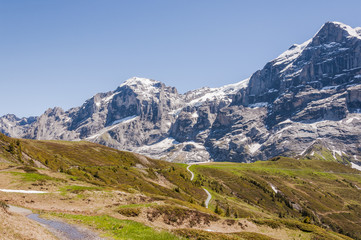 Grindelwald, Berner Oberland, Alpen, Wetterhorn, Engelhörner, Grosse Scheidegg, Wanderweg, Wanderferien, Schweizer Berge, Sommer, Schweiz