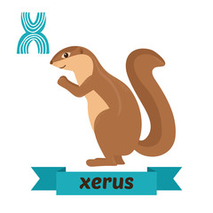 Xerus. X letter. Cute children animal alphabet in vector. Funny