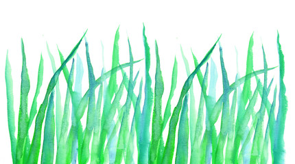 green grass hand drawn element. watercolor artwork