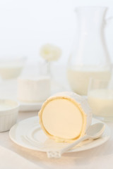 a piece of goat cheese on a white plate. Photo dairy product in a light key. still life in white.