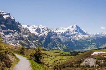 Fototapeta na wymiar Grindelwald, Berner Oberland, Alpen, Grosse Scheidegg, Höhenweg, Eiger, Schreckhorn, Wetterhorn, First, Lauberhorn, Sommer, Schweiz