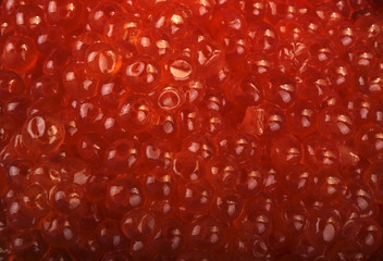 red caviar  background