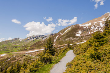 Obraz premium Grindelwald, Alpen, Berner Oberland, First, Schwarzhorn, Wanderweg, Schreckfeld, Grosse Scheidegg, Schweizer Berge, Sommer, Schweiz
