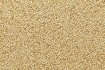 Organic Quinoa (Chenopodium quinoa) seeds. Macro close up background texture. Top view.