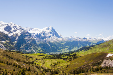 Fototapeta na wymiar Grindelwald, Berner Oberland, Alpen, Schweizer Berg, Eiger, Schreckhorn, Bergtal, Kleine Scheidegg, Höhenweg, Grosse Scheidegg, Sommer, Schweiz