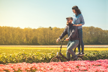 Couple cycling through tulip field - obrazy, fototapety, plakaty