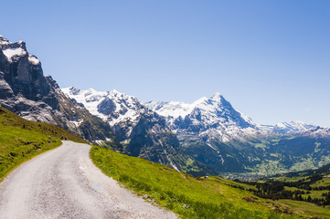 Grindelwald, Grosse Scheidegg, Berner Oberland, Alpen, Wanderweg, Höhenweg, Eiger, Schreckhorn, Kleine Scheidegg, Sommer, Schweiz