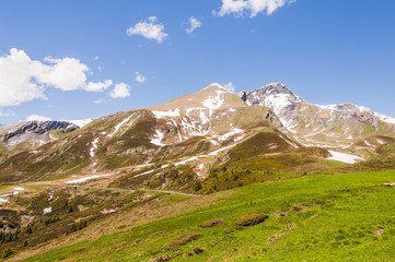 Fototapeta premium Grindelwald, Berner Oberland, Schwarzhorn, First, Alpen, Höhenweg, Wanderweg, Wanderferien, Schweizer Berge, Grosse Scheidegg, Sommer, Schweiz