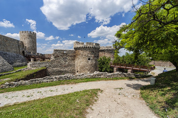 Fototapeta na wymiar Old fortress wall and nature