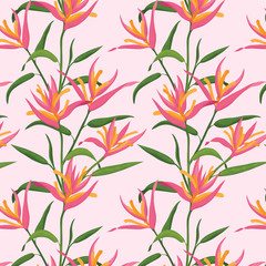 Seamless pattern with bird of paradise flowers (Pink), vector illustration.