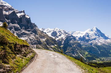 Fototapeta na wymiar Grindelwald, Berner Oberland, Alpen, Grosse Scheidegg, Wanderweg, Eiger, Schreckhorn, Wetterhorn, Schweizer Berge, Sommer, Schweiz