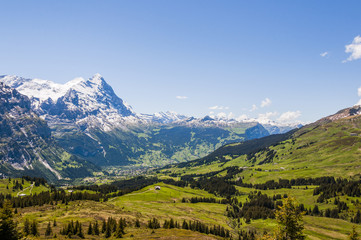Grindelwald, Berner Oberland, Eiger, Lauberhorn, Kleine Scheidegg, First, Wanderweg, Grosse Scheidegg, Schreckfeld, Alpen, Sommer, Schweiz