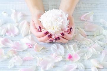 Woman cupped hands with manicure holding pink flower