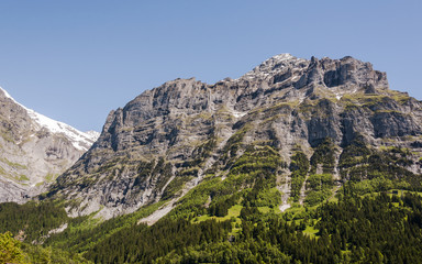 Fototapeta na wymiar Grindelwald, Bergdorf, Alpen, Schreckhorn, Pfingstegg, Berner Oberland, Wanderweg, Grosse Scheidegg, Schweizer Berge, Sommer, Schweiz
