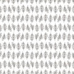 Vector seamless pattern with hand drawn branch with leaf. Doodle outline plants on white background.