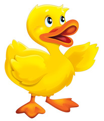 Cartoon happy duck - isolated - illustration for children