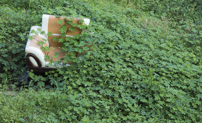 The abandoned sofa is swallowed up by weeds.