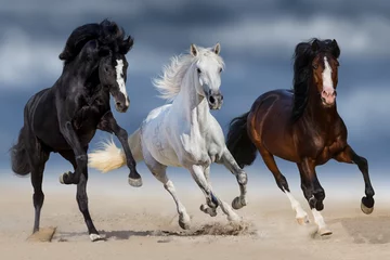 Raamstickers Drie paard met lange manen galop in zand © callipso88