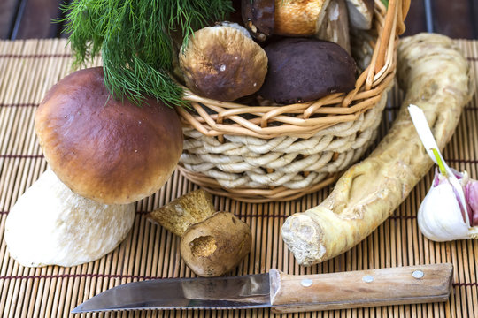 Still life with white mushrooms. Ingredients for preserving whit