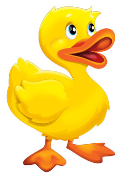 Cartoon happy duck - isolated - illustration for children