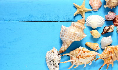 Obraz premium Sea shells on a wooden blue background. 