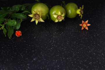 Green pomegranate closeup decorative background, dark photography.