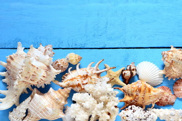 Obraz na płótnie Canvas Sea shells on a wooden blue background. 
