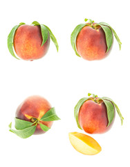 Peach with leaves in various positions, isolated on white background.