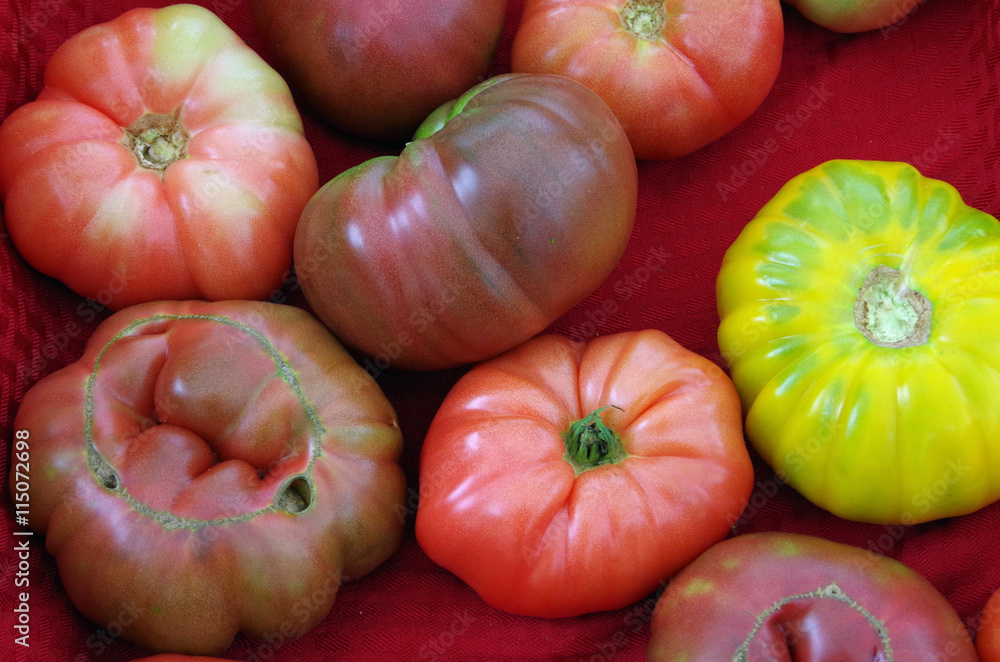 Wall mural heirloom tomatoes on display