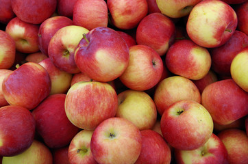 Reddish yellow apples detail at market place