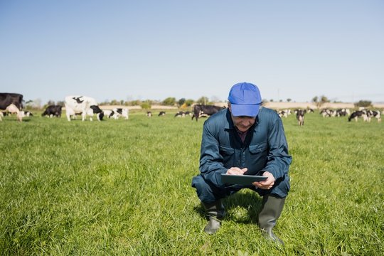 Farm Worker Using Tablet Computer On Field